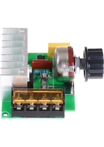 Ac 220V 4000W Dimmer