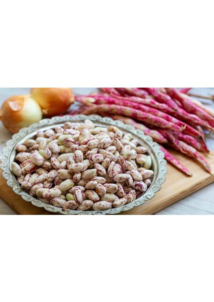 Sırık Barbunya Fasulyesi Tohumu 500 Adet fiyatları