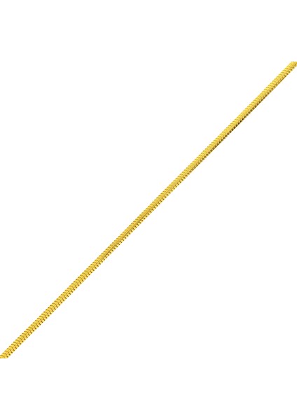 Altınsepeti Altın Tondo Zincir AS08ZCR