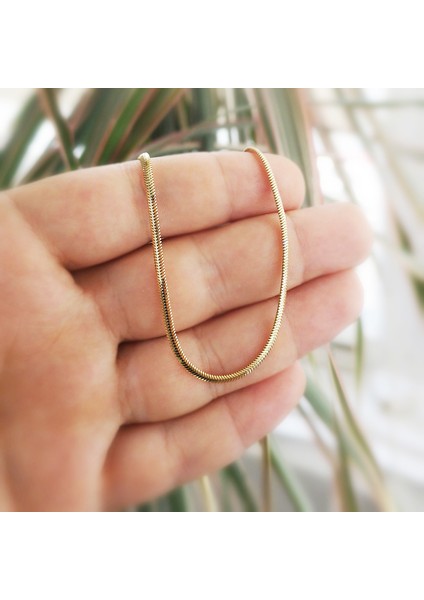 Altınsepeti Altın Tondo Zincir AS08ZCR fiyatları