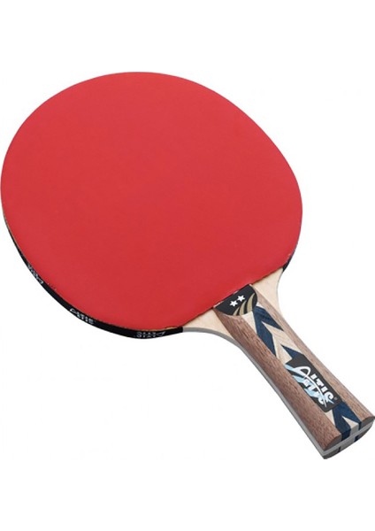 Masa Tenis Raketi 3 Yıldız Siyah Mt-300