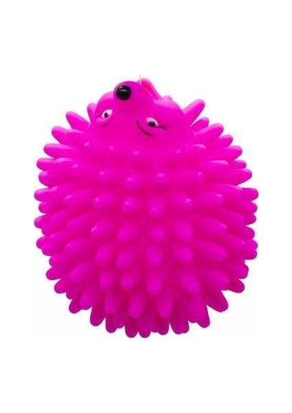 Köpekler İçin Plastik Hedgehog Oyuncak L