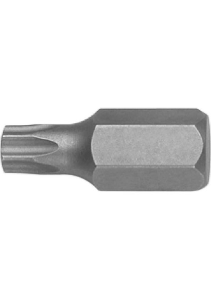 CB/1040G T40 Torx Uçlu Bits 30 mm