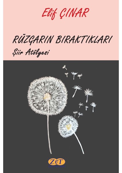 Rüzgarın Bıraktıkları Şiir Atölyesi - Elif Çınar