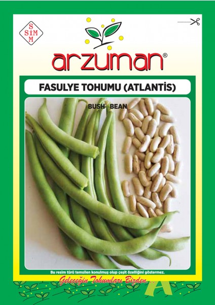 Atlantis Fasulye Tohumu 50 G