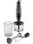 Phb 4580 750 W Blender Seti 1