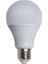 Ct 4277 9W LED Ampul Beyaz 1