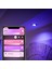 Hue Renkli Akıllı Spot Ampul GU10 Bluetooth 3
