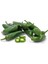 Jalapeno Kırmızı Acı Meksika Biberi Tohumu 5'li 2