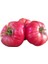 Nadir İri Pembe Domates Tohumu 10'lu 1
