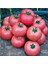 Nadir İri Pembe Domates Tohumu 10'lu 4