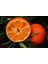 Tüplü Klemantin Kokolu King Mandalina Yaş 1 - 2 Boy 90 - 110 cm 1