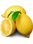 Tüplü Bodur Saksılık Enterdonat Limon Fidanı 4 Yaş 80-100 Boy 1