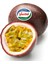 Çarkıfelek (Passion Fruit) 3'lü Tabak 180 gr 2