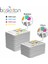 Epson 5620 İçin Mürekkep Seti 4 x 500 ml 15000 Sayfa 2