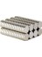 Mıknatıs Çap 8 x 1 mm Yuvarlak Süper Güçlü Neodyum Mıknatıs 25'li 4