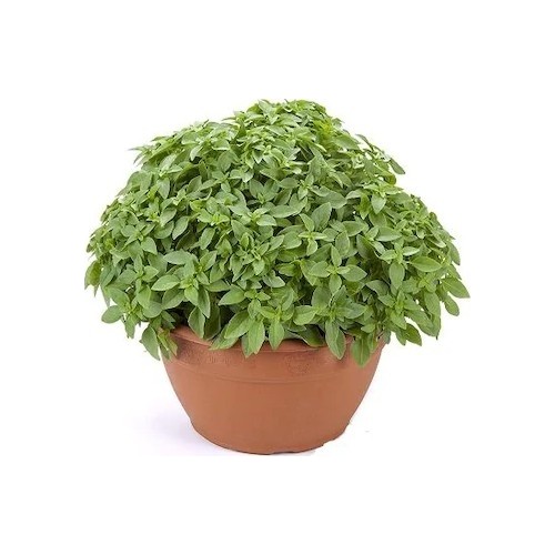 [Resim: 10493894295602.jpg]