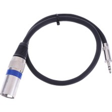 Mini 3.5mm (1/8'inch) Trs Stereo Erkek - Xlr Erkek Dengeli Kablo 1.6ft