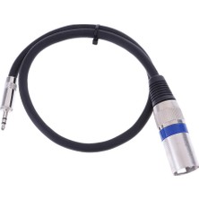 Mini 3.5mm (1/8'inch) Trs Stereo Erkek - Xlr Erkek Dengeli Kablo 1.6ft