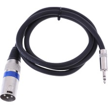 Mini 3.5mm (1/8'inch) Trs Stereo Erkek - Xlr Erkek Dengeli Kablo 3ft