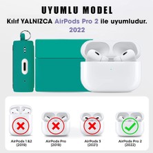 Microsonic AirPods Pro 2.Nesil Kılıf Cartoon Figürlü Silikon Crtn-Fgr-Pkebll