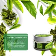 Wellgreen Çay Ağacı Yağı Kremi - 100 ml