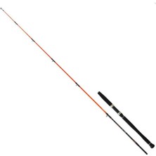 Daiwa Megaforce Bay Jigging 1.80M 60-120GR 2p Olta Kamışı