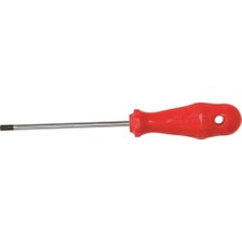 İzeltaş Tornavida Delikli Torx TR10 4776180010