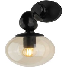 Begüsa Çekya Aplik Siyah Bal Cam