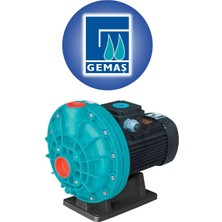 Gemaş Pumpex Jet Havuz Pompası  1/2 Hp Monofaze