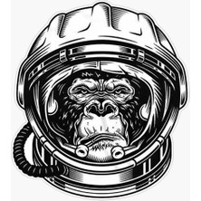 Sticker Master Uzay Maymun Oto Motor Etiket Çıkartma 15 cm Oto Motor Pc Etiket