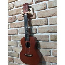 Donizetti Ukulele Stand Duvar Askı Aparatı Stantı Naturel