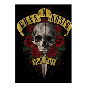 Guns N' Roses Metal Müzik Desenli Mdf Tablo
