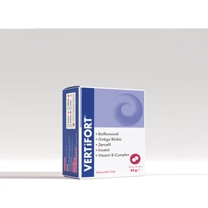 Ginko Biloba 60 Tablet