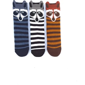 Mem Socks 3'lü Rakkun Desenli Kaydırmaz Havlu Çocuk Çorabı