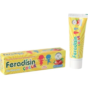 Doğal Çocuk Diş Macunu