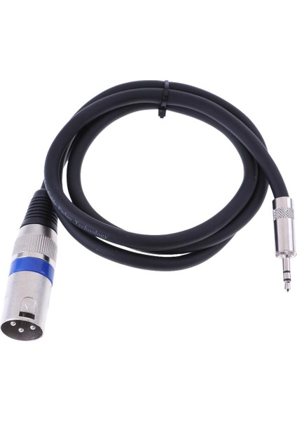 Mini 3.5mm (1/8'inch) Trs Stereo Erkek - Xlr Erkek Dengeli Kablo 3ft