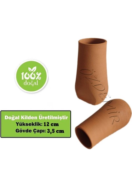 Yuvarlak Ağız vatoz Küpü