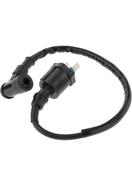 Tekne Ateşleme Bobini 30511ZV5003 Dıştan Takma Motor Için Uygun BF30 - BF50 (Yurt Dışından)