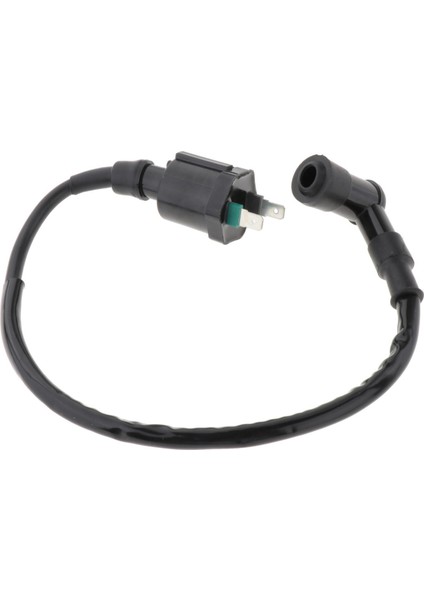 Tekne Ateşleme Bobini 30511ZV5003 Dıştan Takma Motor Için Uygun BF30 - BF50 (Yurt Dışından) fiyatları