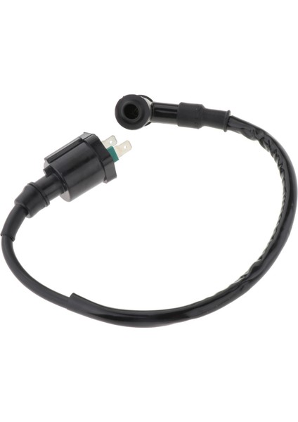 Tekne Ateşleme Bobini 30511ZV5003 Dıştan Takma Motor Için Uygun BF30 - BF50 (Yurt Dışından) modelleri