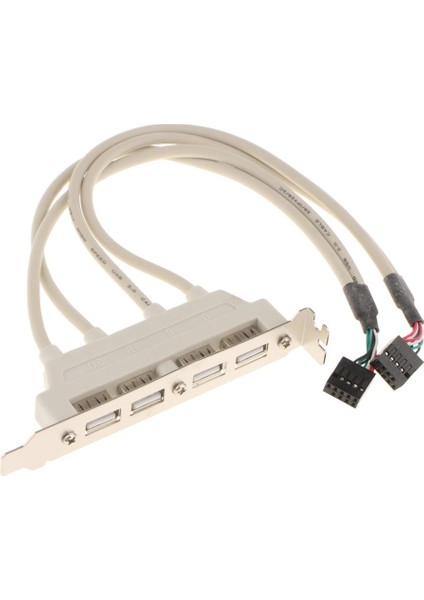 4port USB 2.0 Arka Panel Genişletme Braketi Anakart USB Başlığına (Yurt Dışından)