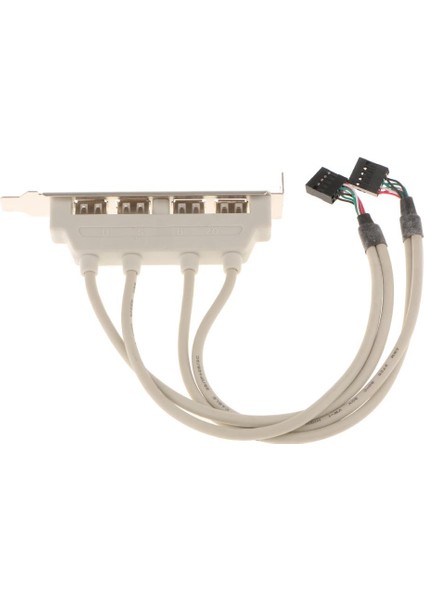 4port USB 2.0 Arka Panel Genişletme Braketi Anakart USB Başlığına (Yurt Dışından)