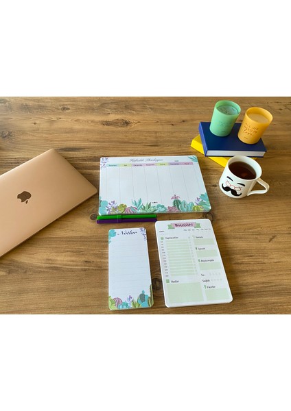 Haftalık Planlıyıcı 3'lü Set Kaktüs