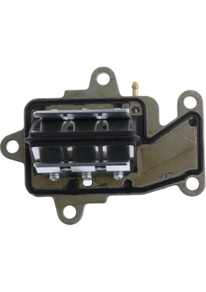 63V-13610-00 9.9Hp 15Hp Dıştan Takma Motor Için Kamış Valfi (Yurt Dışından) indirimleri
