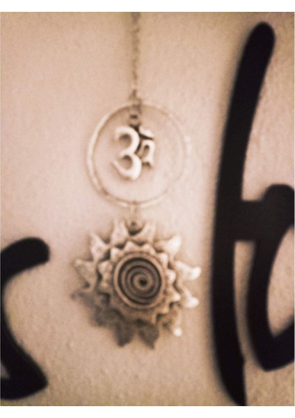 Feng Shui Tibet Spiral Güneş Çiçeği Om Sembol Tılsımı Meditasyon Gümüş Yaşam Enerjisi Gücü