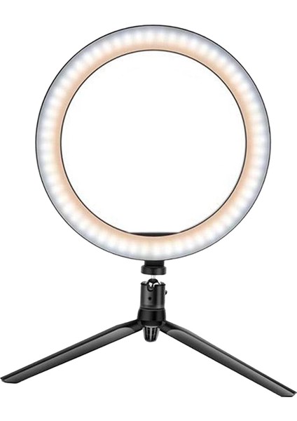 Işık 12 "led Floresan Yüksek Güçlü Parlaklık Fotoğraf/video Işığı Video, Set L (Yurt Dışından)