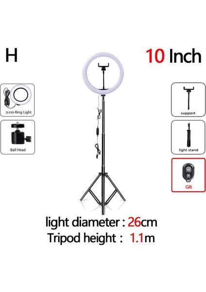 Tripod Moda Seti H (Yurt Dışından)