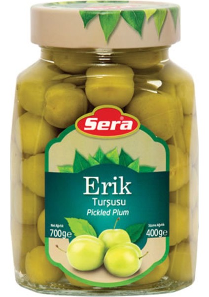 Erik Turşusu 700 G