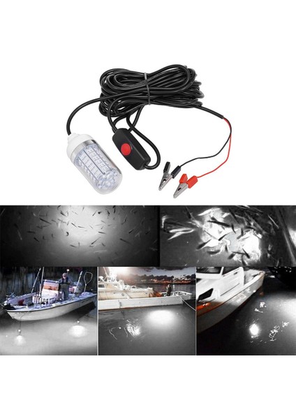12V LED Sualtı Dalgıç Su Geçirmez Gece Balıkçılık Hafif Balık Beyaz (Yurt Dışından)
